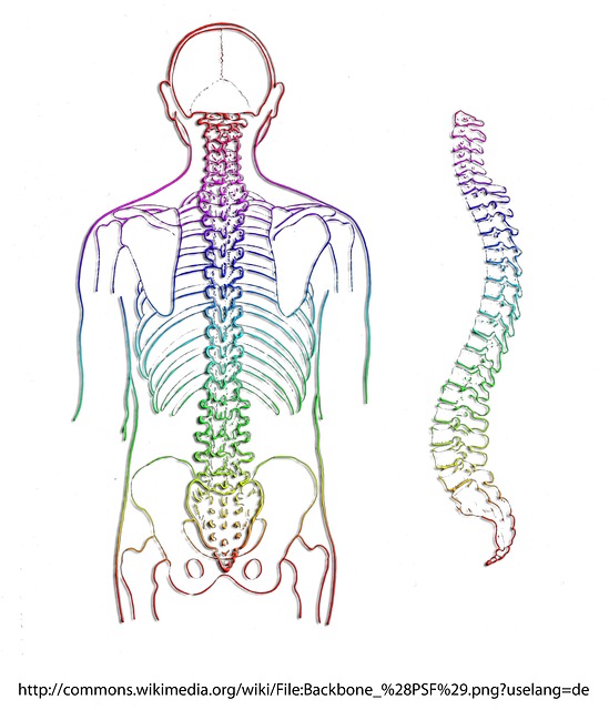 Posture perfect: maintaining the spine's natural curves – Canadian  Chiropractic Association (CCA)